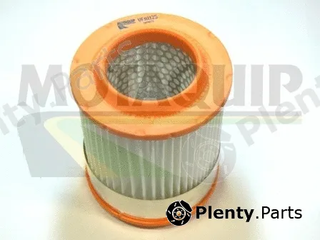 Motaquip VFA1125 — Air Filter