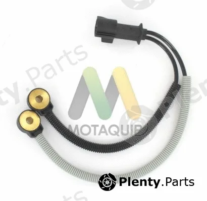 Motaquip LVKN205 — Knock Sensor