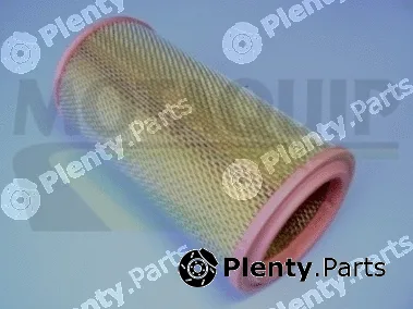 Motaquip VFA788 — Air Filter