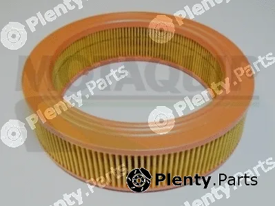 Motaquip VFA176 — Air Filter