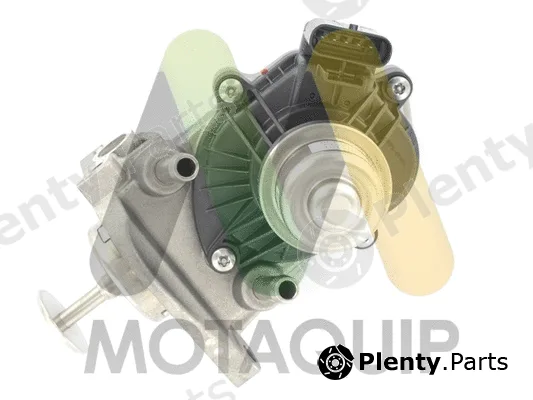 Motaquip LVER393 — EGR Valve