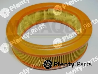 Motaquip VFA253 — Air Filter