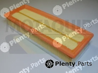 Motaquip VFA1071 — Air Filter