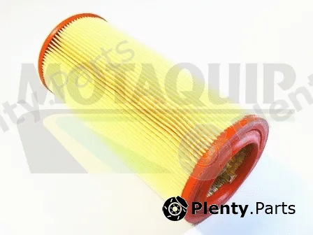 Motaquip VFA1028 — Air Filter