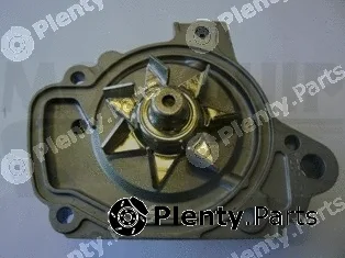Motaquip VWP916 — Water Pump, engine cooling