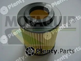 Motaquip VFL482 — Oil Filter
