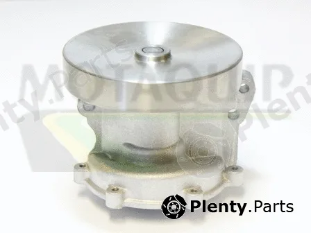 Motaquip VWP810 — Water Pump, engine cooling