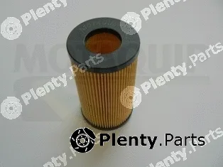 Motaquip VFL481 — Oil Filter