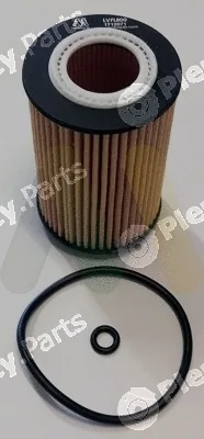 Motaquip LVFL800 — Oil Filter