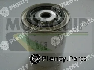 Motaquip VFL135 — Oil Filter