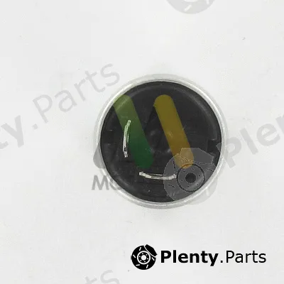 Motaquip LVFU103 — Flasher Unit