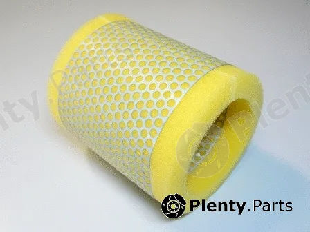 Motaquip VFA270 — Air Filter