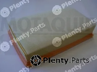 Motaquip VFA1236 — Air Filter