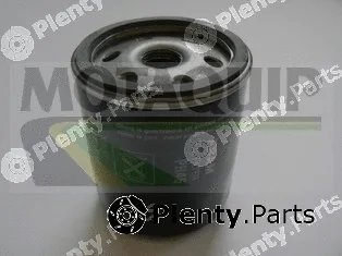Motaquip VFL194 — Oil Filter