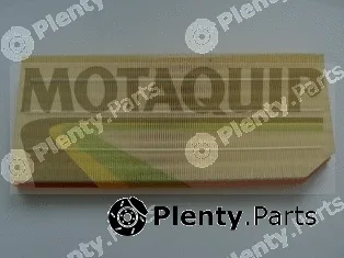 Motaquip VFA1184 — Air Filter