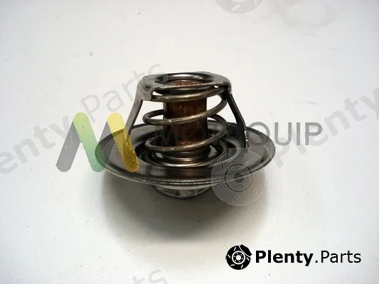 Motaquip VTS187 — Thermostat, coolant