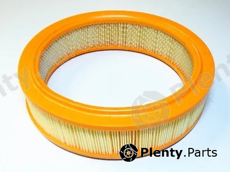Motaquip VFA137 — Air Filter