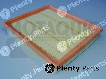 Motaquip VFA1059 — Air Filter