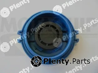 Motaquip VCR248 — Cap, coolant tank