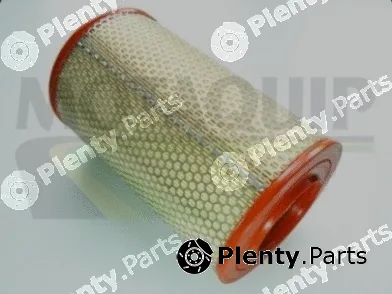Motaquip VFA728 — Air Filter