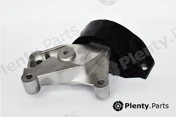 Asam Automotive 74984 — Mounting, engine