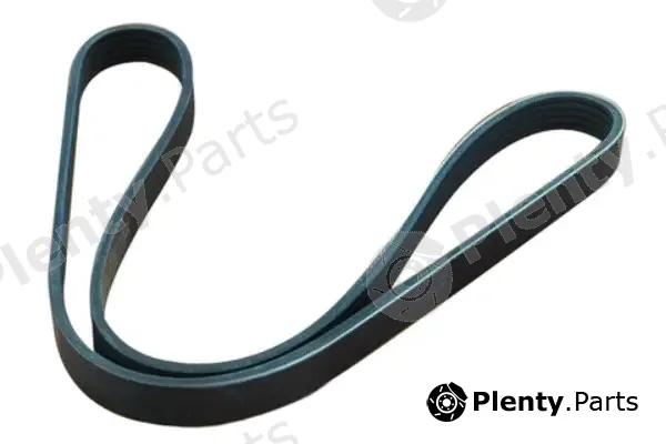 Asam Automotive 55986 — V-Ribbed Belt