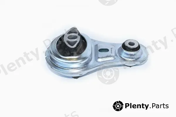 Asam Automotive 79482 — Mounting, engine