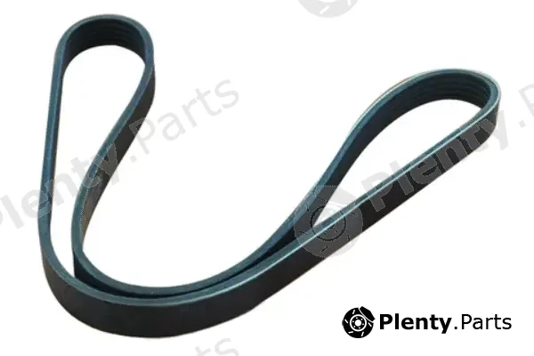Asam Automotive 55987 — V-Ribbed Belt