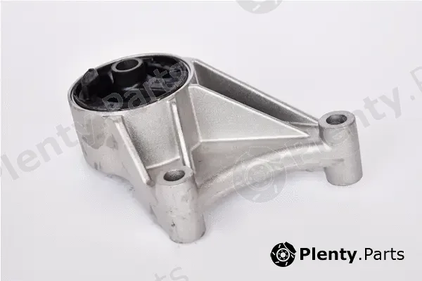 Asam Automotive 76590 — Mounting, engine