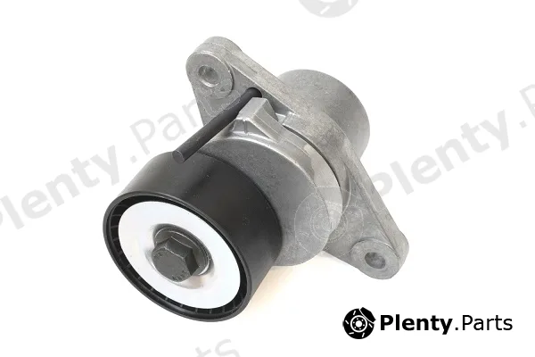 Asam Automotive 101300 — Tensioner Lever, V-ribbed belt