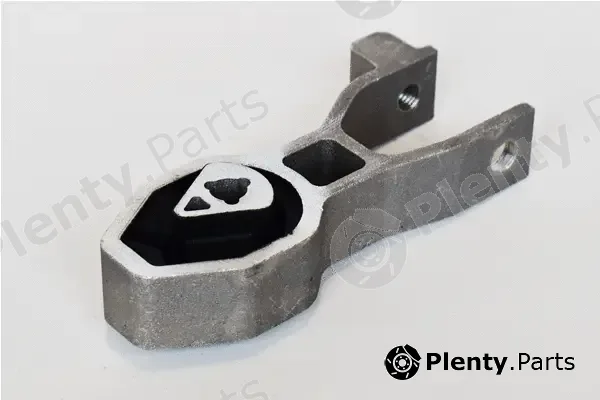 Asam Automotive 76581 — Mounting, engine
