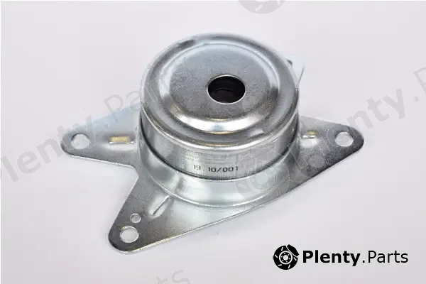 Asam Automotive 76543 — Mounting, engine
