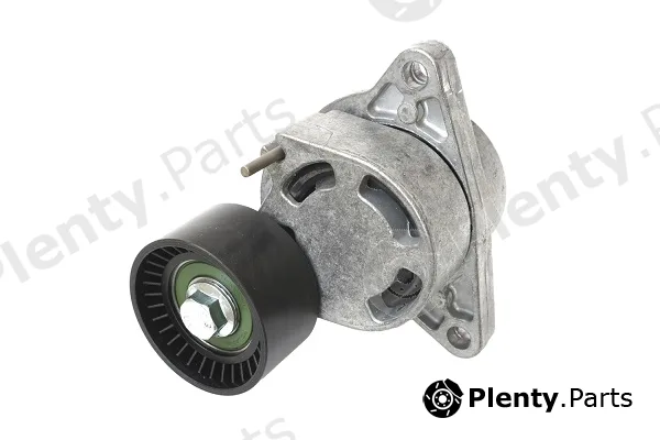 Asam Automotive 101305 — Tensioner Lever, V-ribbed belt