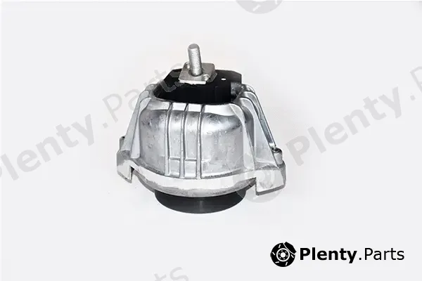 Asam Automotive 99903 — Mounting, engine