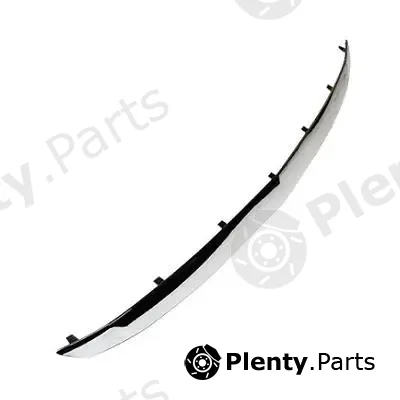 Asam Automotive 30843 — Trim/Protection Strip, radiator grille