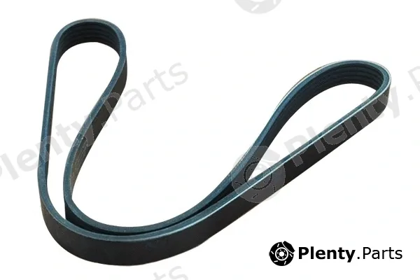 Asam Automotive 30691 — V-Ribbed Belt