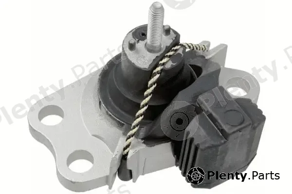 Asam Automotive 79480 — Mounting, engine