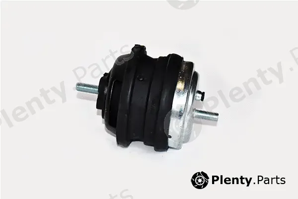 Asam Automotive 99867 — Mounting, engine