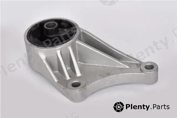Asam Automotive 76488 — Mounting, engine