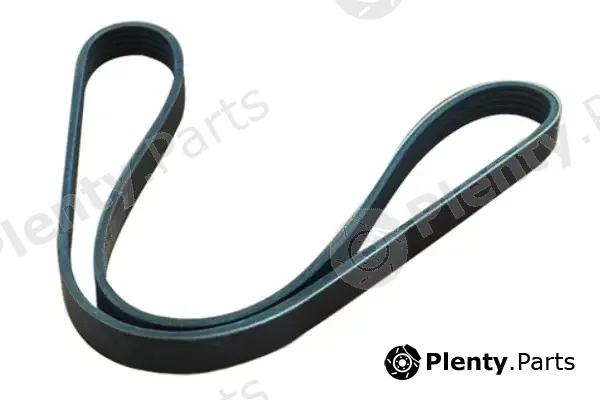 Asam Automotive 55992 — V-Ribbed Belt