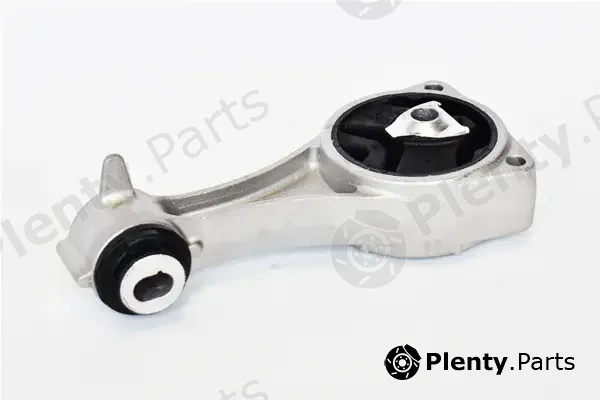 Asam Automotive 76529 — Mounting, engine