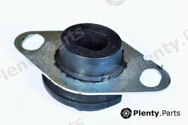 Asam Automotive 32978 — Mounting, engine