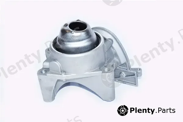 Asam Automotive 79495 — Oil Pump