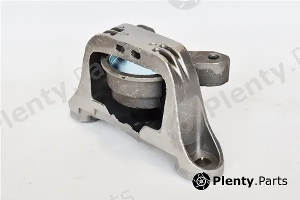 Asam Automotive 76489 — Mounting, engine