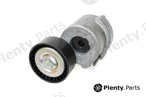 Asam Automotive 101301 — Tensioner Lever, V-ribbed belt