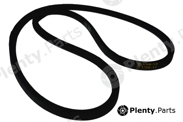 Asam Automotive 00046 — V-Belt