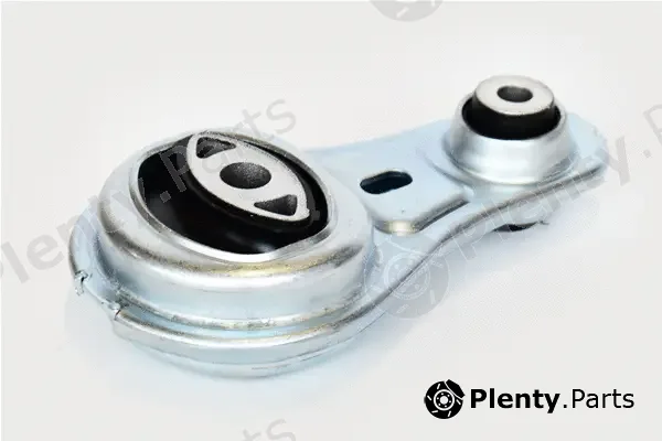 Asam Automotive 76548 — Mounting, engine
