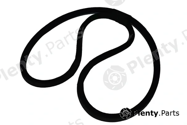 Asam Automotive 00047 — V-Belt