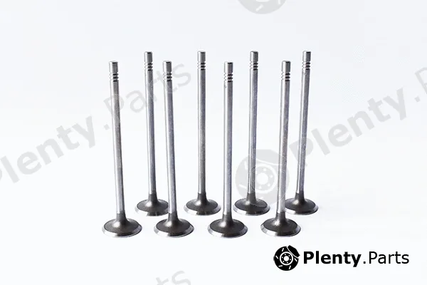 Asam Automotive 55828 — Intake Valve