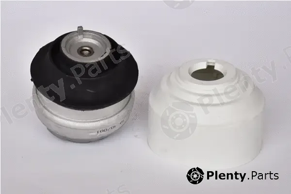Asam Automotive 76513 — Mounting, engine